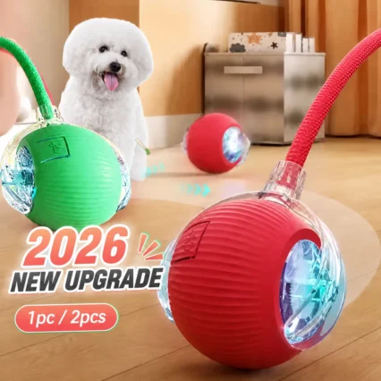 Smart Rolling Dog Ball