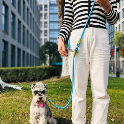 Reflective Dog Leash