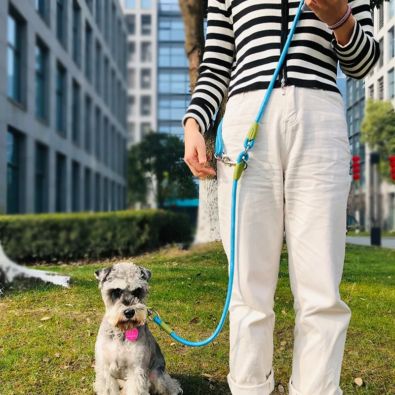 Reflective Dog Leash