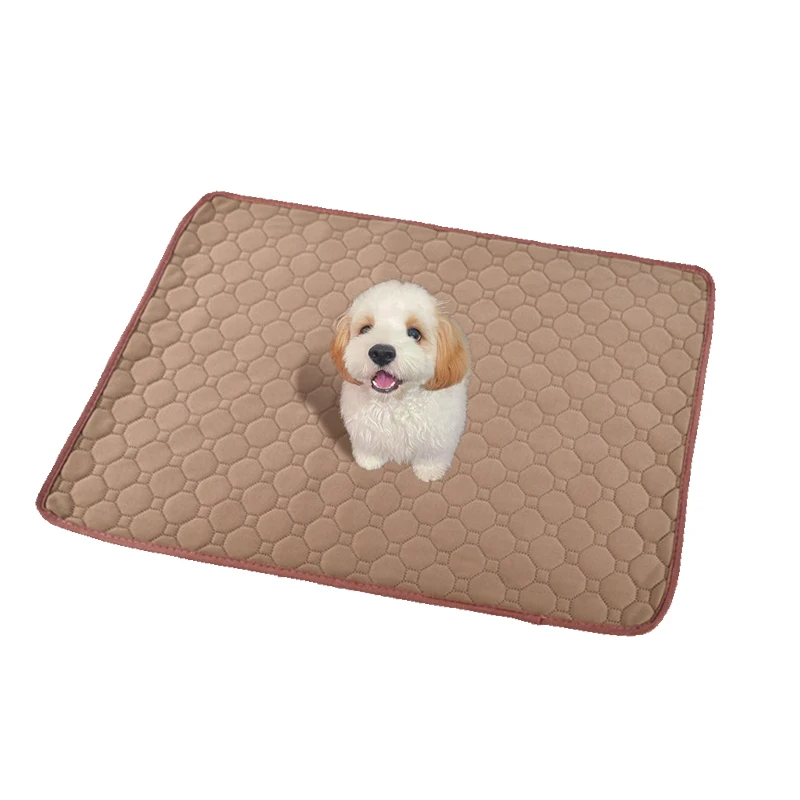 Washable Pet Training Mat - Image 7