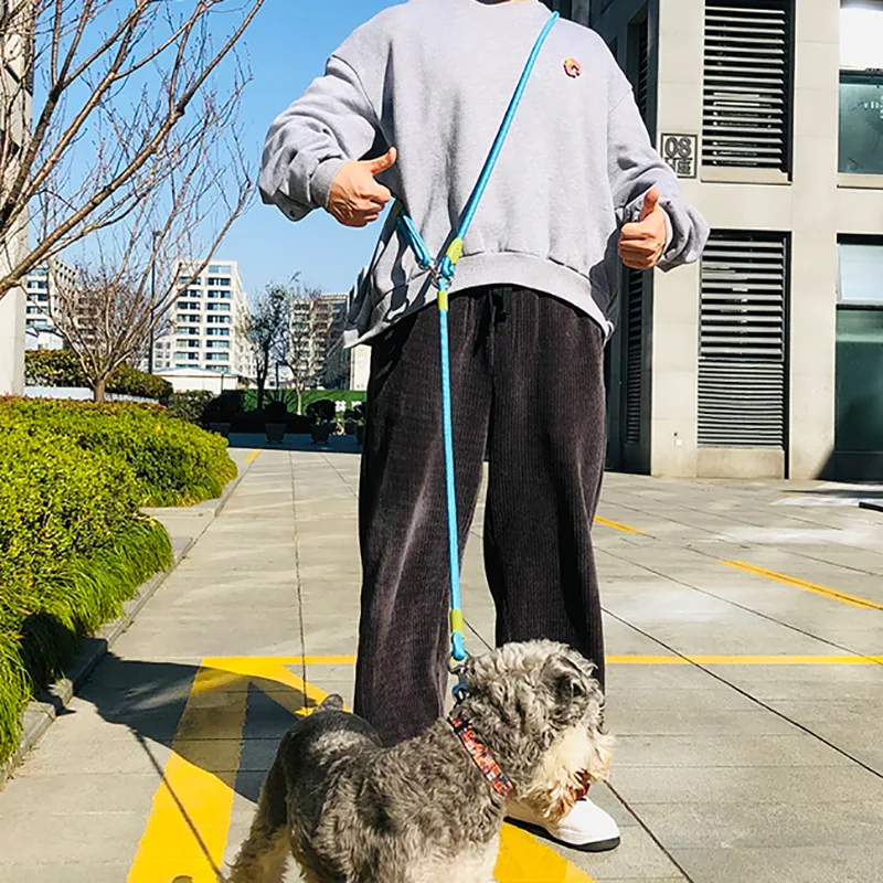 Reflective Dog Leash - Image 2